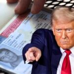 Estados Unidos revoca más de 175 mil visas durante el gobierno de Donald Trump