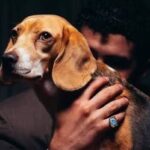 Bad Bunny y su perrita Sansa conquistan las redes en sesión para Vogue