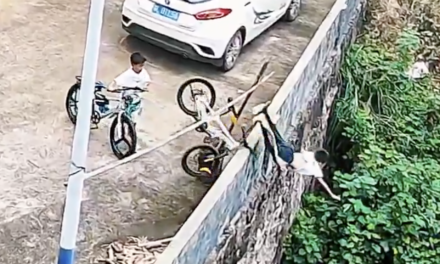 (VIDEO) ¡Sin frenos y directo al vacío! Niño cae a una hondonada… y vivió para contarlo