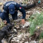 Policías se meten a la corriente y rescatan a perrito que era arrastrado por el agua