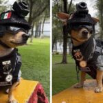 “Comando Chihuahua”, el pequeño elemento de la Guardia Nacional que demuestra que el tamaño no importa