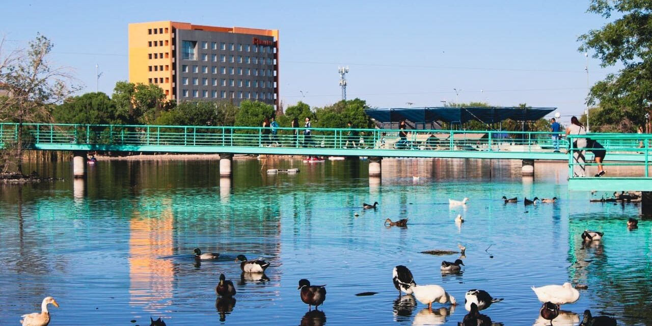 Trabajos de rehabilitación del Parque Central registran un avance del 55 por ciento