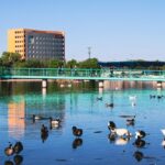 Trabajos de rehabilitación del Parque Central registran un avance del 55 por ciento