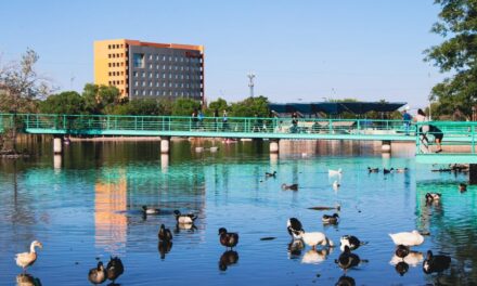 Trabajos de rehabilitación del Parque Central registran un avance del 55 por ciento