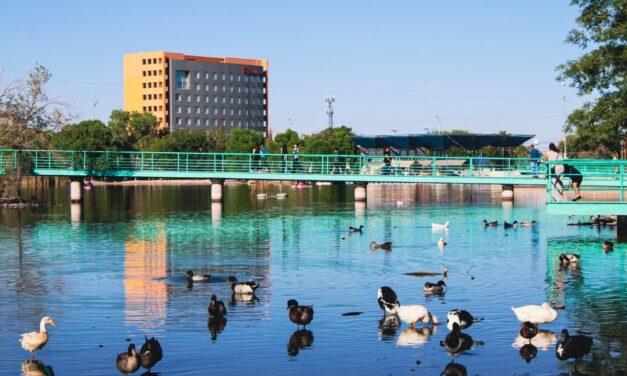 Trabajos de rehabilitación del Parque Central registran un avance del 55 por ciento