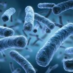 Salud ordena revisión nacional de comedores hospitalarios tras brote de Salmonella en el Hospital General de México