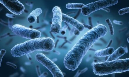 Salud ordena revisión nacional de comedores hospitalarios tras brote de Salmonella en el Hospital General de México