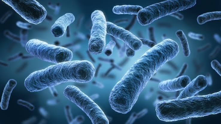 Salud ordena revisión nacional de comedores hospitalarios tras brote de Salmonella en el Hospital General de México