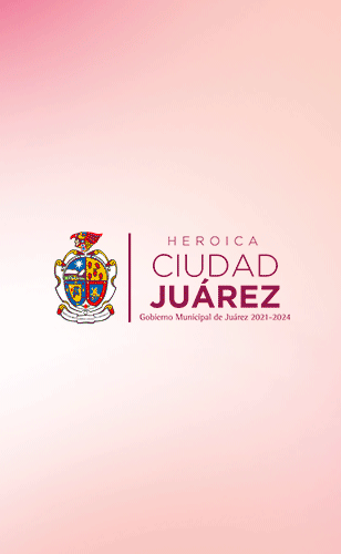 Segundo Informe