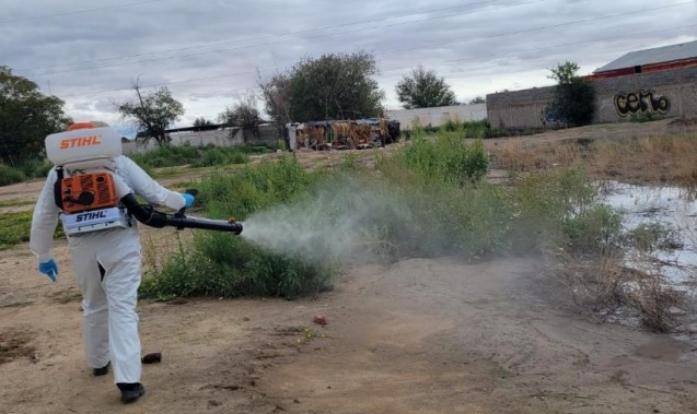 Nebuliza Ecología diversos sectores de la ciudad luego de las lluvias