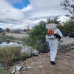 Nebuliza Ecología diversos sectores de la ciudad luego de las lluvias