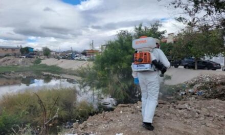 Nebuliza Ecología diversos sectores de la ciudad luego de las lluvias