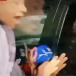 ¡Los atropellaron en vivo! Reportera y camarógrafo fueron embestidos en Monterrey