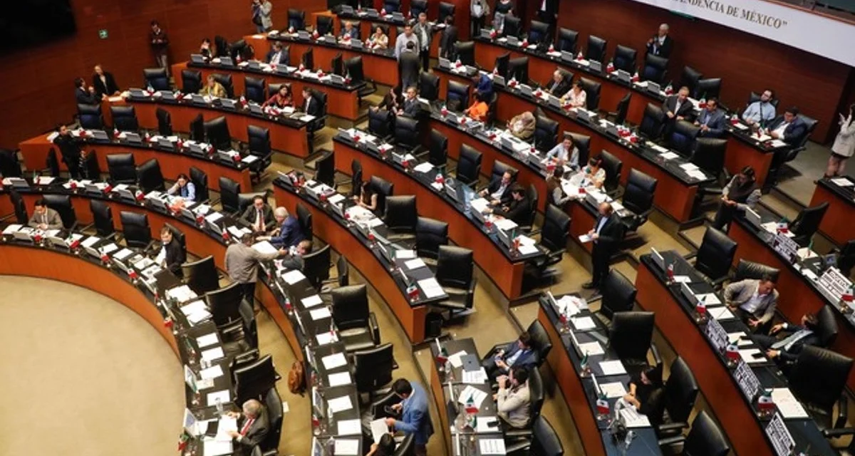 Tras la renuncia de Taddei, Morena y MC en el Senado piden a los diputados un presidente del INE imparcial