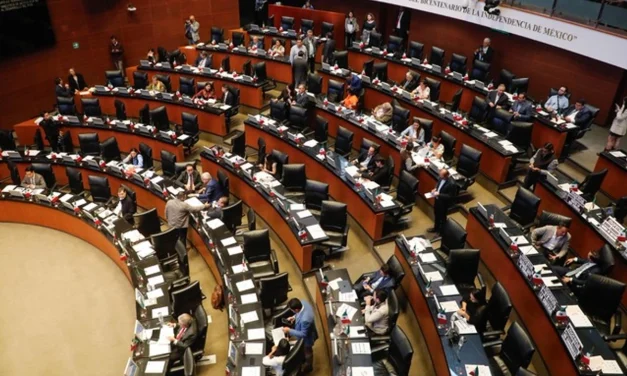 Tras la renuncia de Taddei, Morena y MC en el Senado piden a los diputados un presidente del INE imparcial